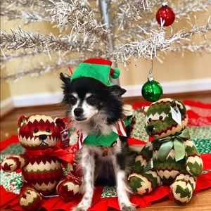 Meet your Posher, Maxi